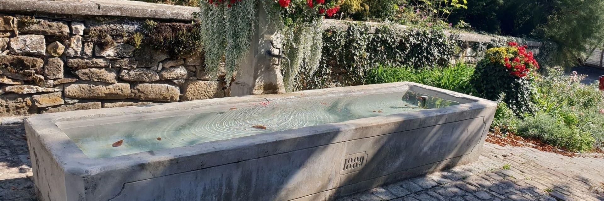 Ein Brunnen mit einer steinernen Mauer, umgeben von Blumen, die sanft im Wasser treiben.